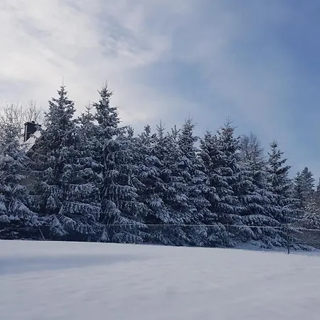 Шале Pod Limba Закопане