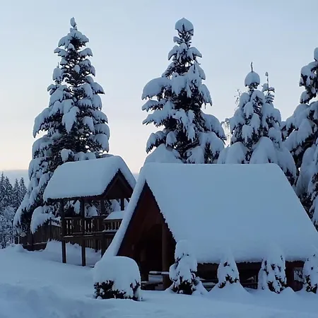 Chalet Z Kominkiem Pod Limba Zakopane