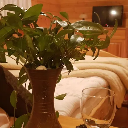 Z Kominkiem Pod Limba Chalet Zakopane